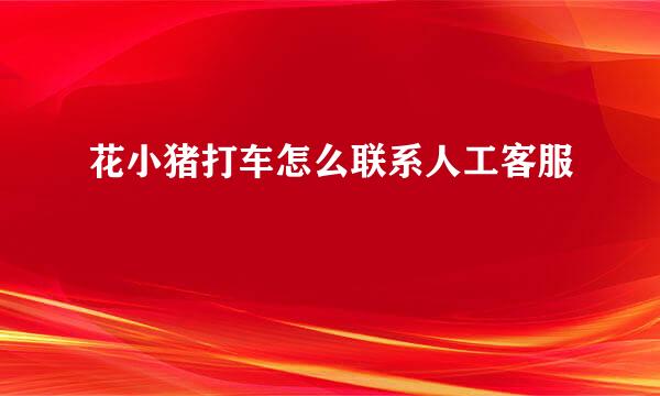 花小猪打车怎么联系人工客服