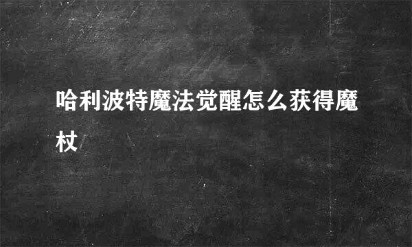 哈利波特魔法觉醒怎么获得魔杖