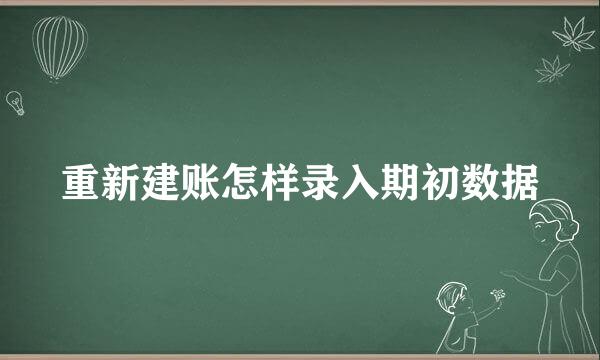 重新建账怎样录入期初数据