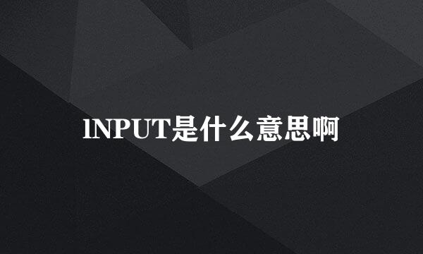 lNPUT是什么意思啊
