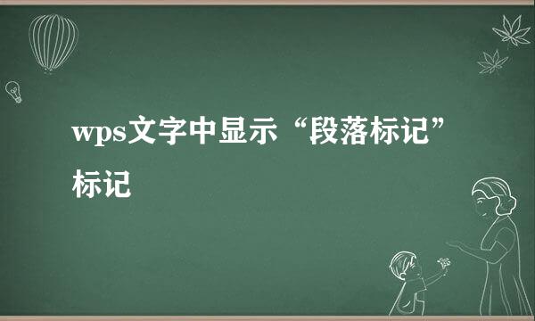 wps文字中显示“段落标记”标记