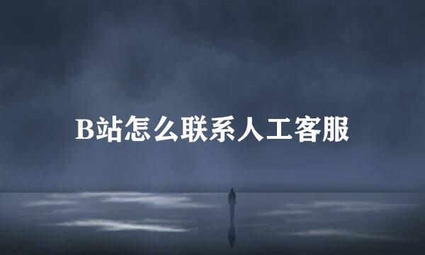B站怎么联系人工客服
