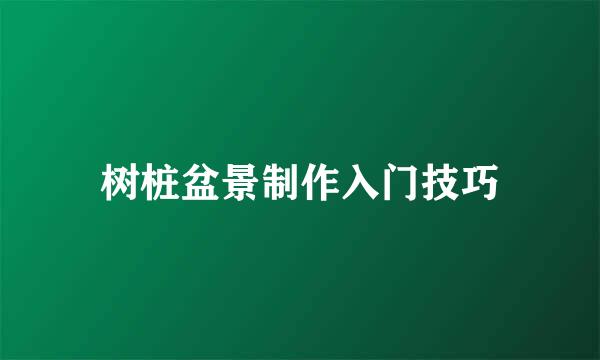 树桩盆景制作入门技巧