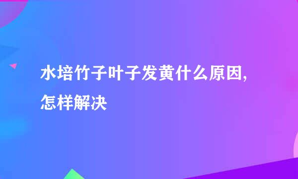 水培竹子叶子发黄什么原因,怎样解决