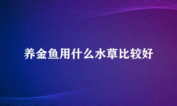 养金鱼用什么水草比较好