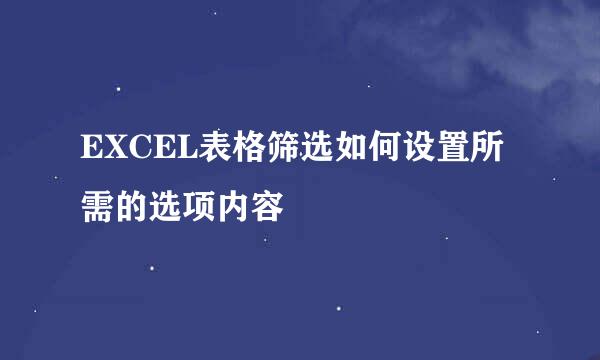 EXCEL表格筛选如何设置所需的选项内容