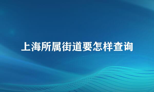 上海所属街道要怎样查询