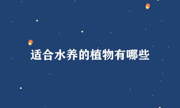 适合水养的植物有哪些