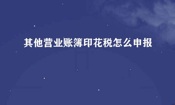 其他营业账簿印花税怎么申报