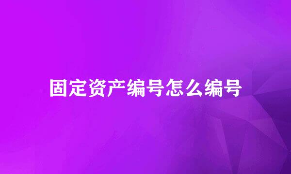 固定资产编号怎么编号