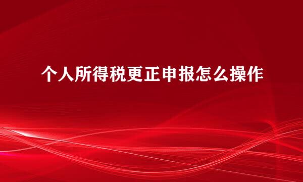 个人所得税更正申报怎么操作