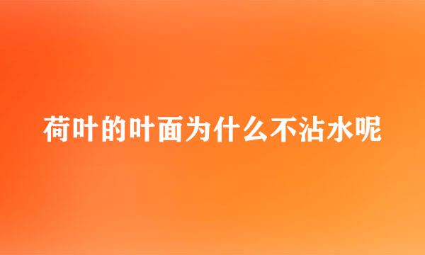 荷叶的叶面为什么不沾水呢