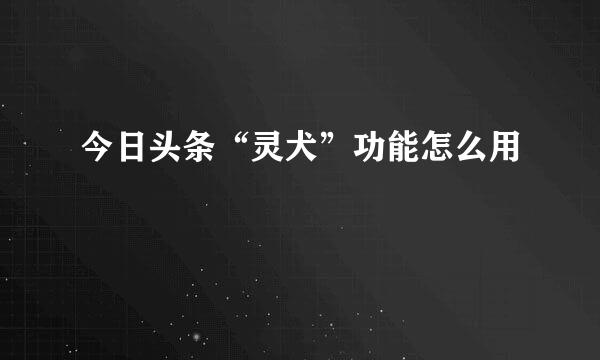 今日头条“灵犬”功能怎么用
