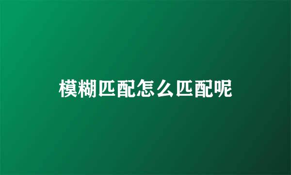 模糊匹配怎么匹配呢
