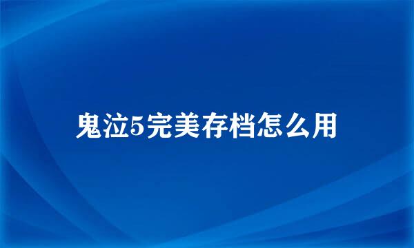 鬼泣5完美存档怎么用