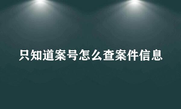 只知道案号怎么查案件信息