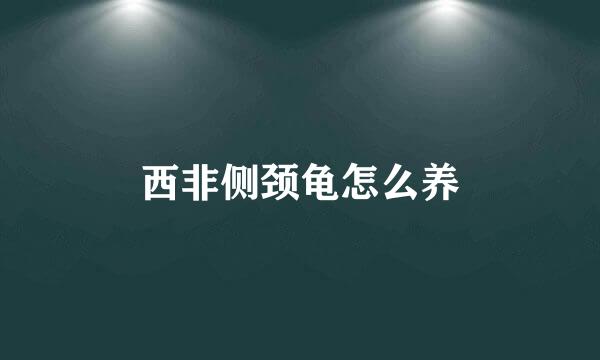 西非侧颈龟怎么养