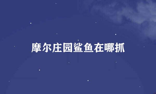 摩尔庄园鲨鱼在哪抓