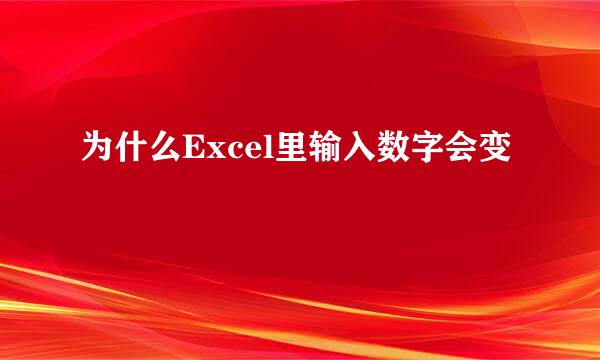 为什么Excel里输入数字会变