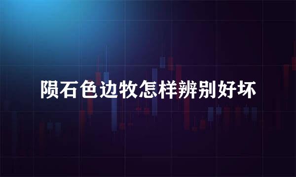 陨石色边牧怎样辨别好坏