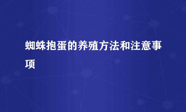 蜘蛛抱蛋的养殖方法和注意事项