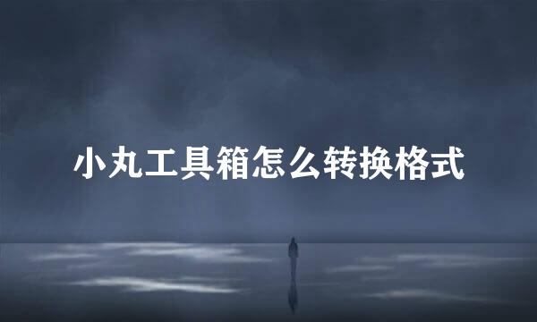 小丸工具箱怎么转换格式