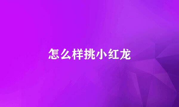 怎么样挑小红龙