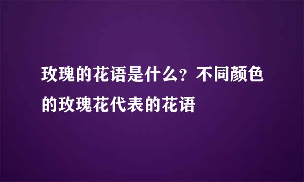 玫瑰的花语是什么？不同颜色的玫瑰花代表的花语