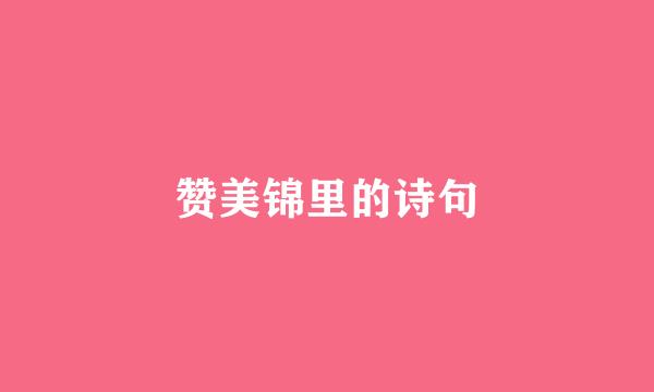 赞美锦里的诗句