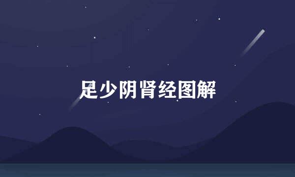 足少阴肾经图解