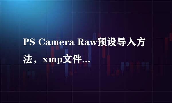 PS Camera Raw预设导入方法，xmp文件格式导入