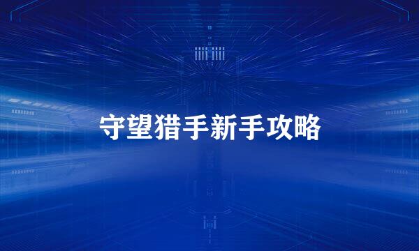 守望猎手新手攻略