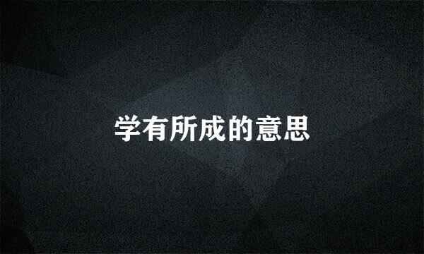 学有所成的意思