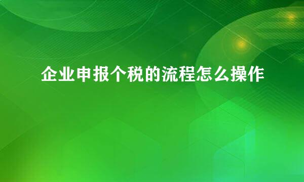 企业申报个税的流程怎么操作