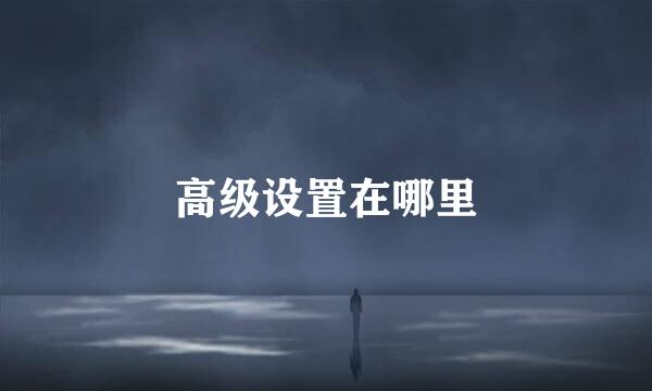 高级设置在哪里