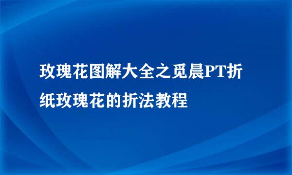 玫瑰花图解大全之觅晨PT折纸玫瑰花的折法教程
