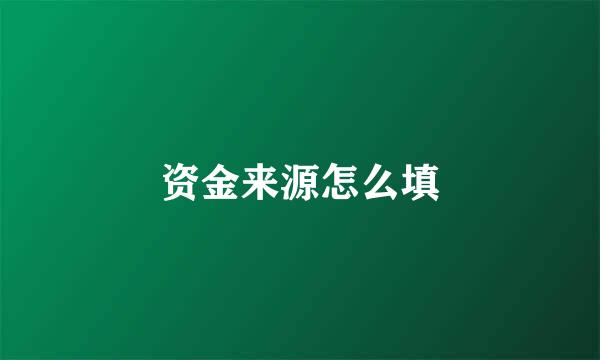 资金来源怎么填