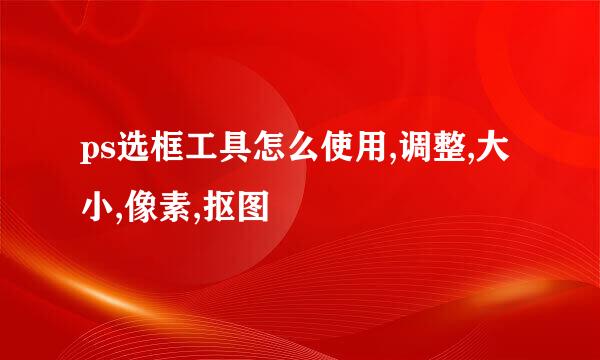ps选框工具怎么使用,调整,大小,像素,抠图