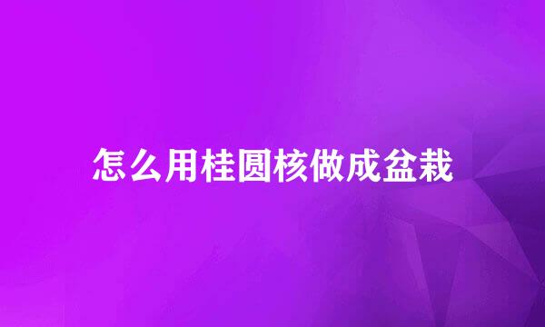 怎么用桂圆核做成盆栽