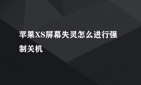 苹果XS屏幕失灵怎么进行强制关机