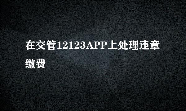 在交管12123APP上处理违章缴费