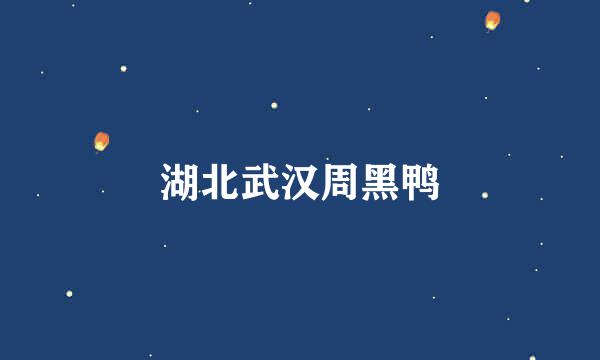 湖北武汉周黑鸭
