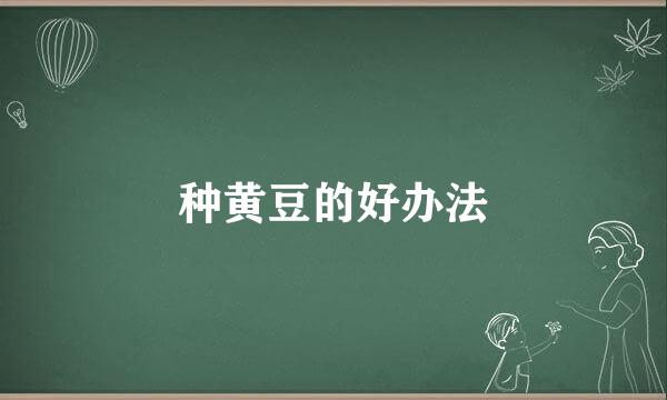 种黄豆的好办法