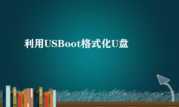 利用USBoot格式化U盘