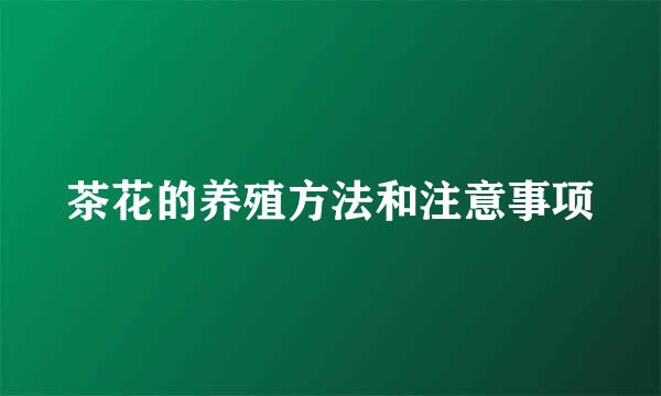 茶花的养殖方法和注意事项