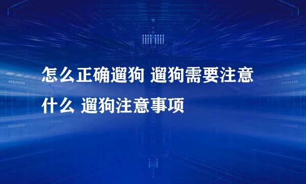 怎么正确遛狗 遛狗需要注意什么 遛狗注意事项