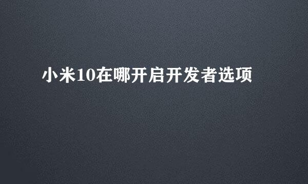 小米10在哪开启开发者选项