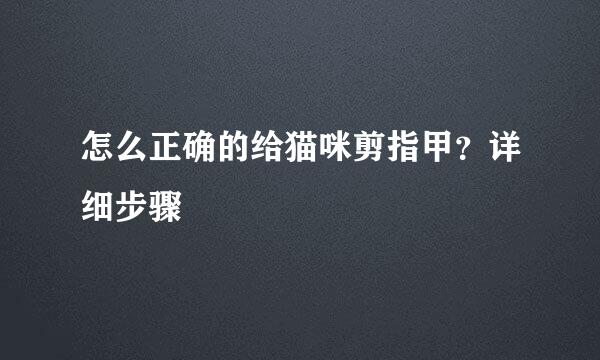 怎么正确的给猫咪剪指甲？详细步骤