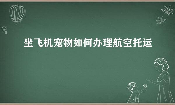 坐飞机宠物如何办理航空托运