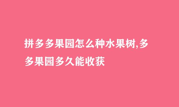 拼多多果园怎么种水果树,多多果园多久能收获